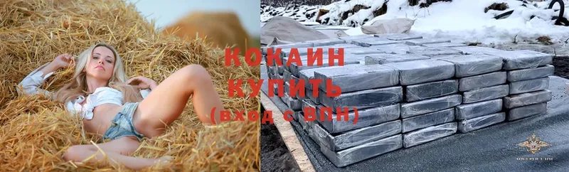 Cocaine Боливия  купить  цена  Канск 